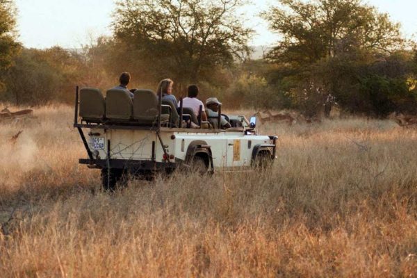 safari game drive