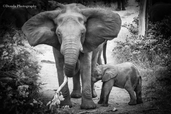 BB ELLI AVEC MUM