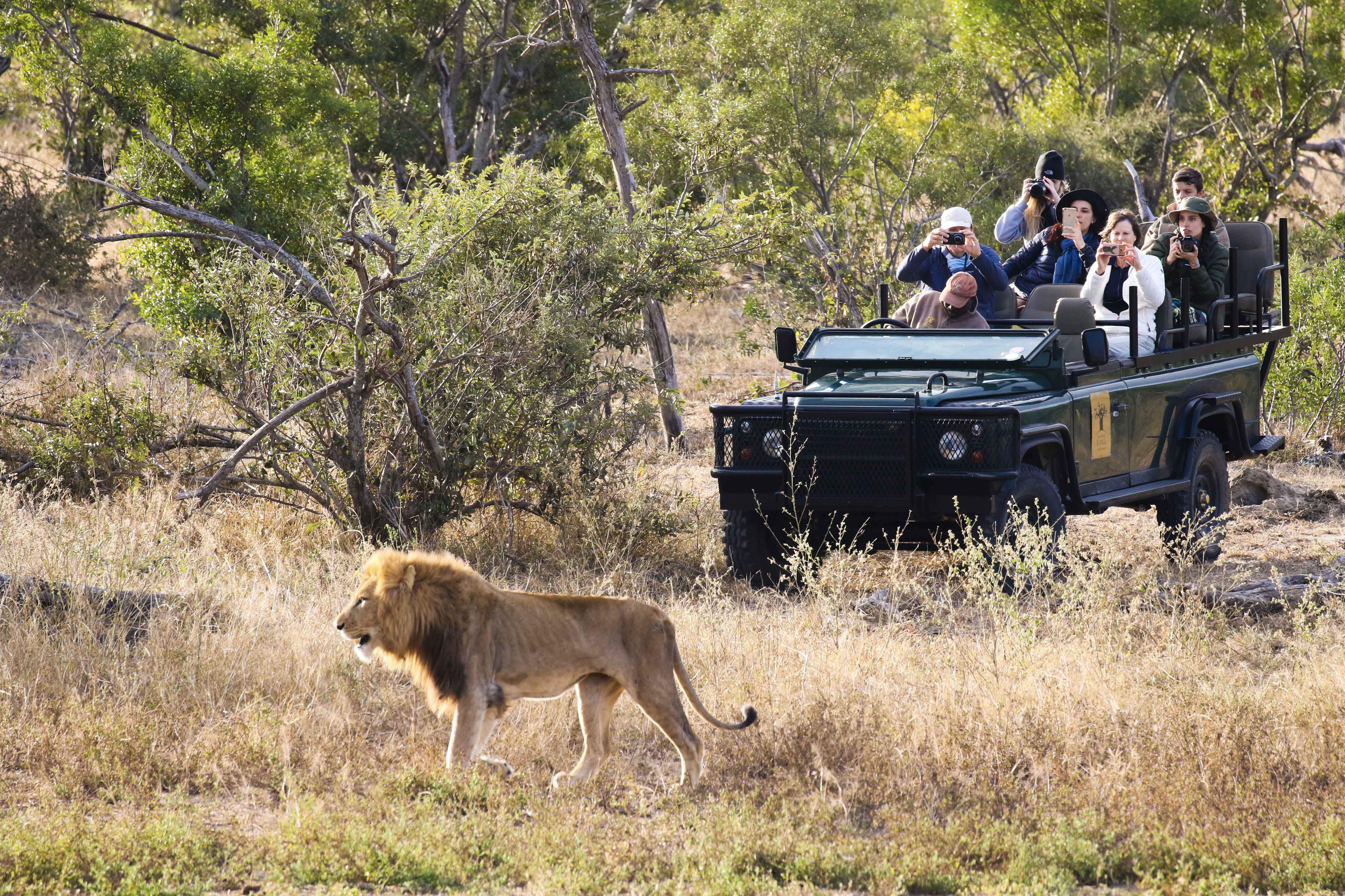 Greater Kruger