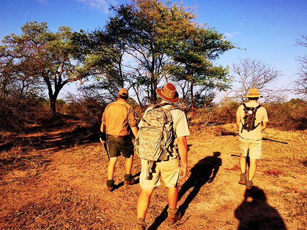 SAFARI AFRIQUE DU SUD