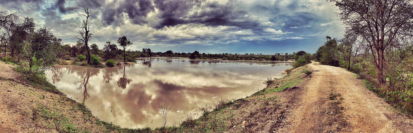 Why did I quit a great job in France for a safari life in the African bush?