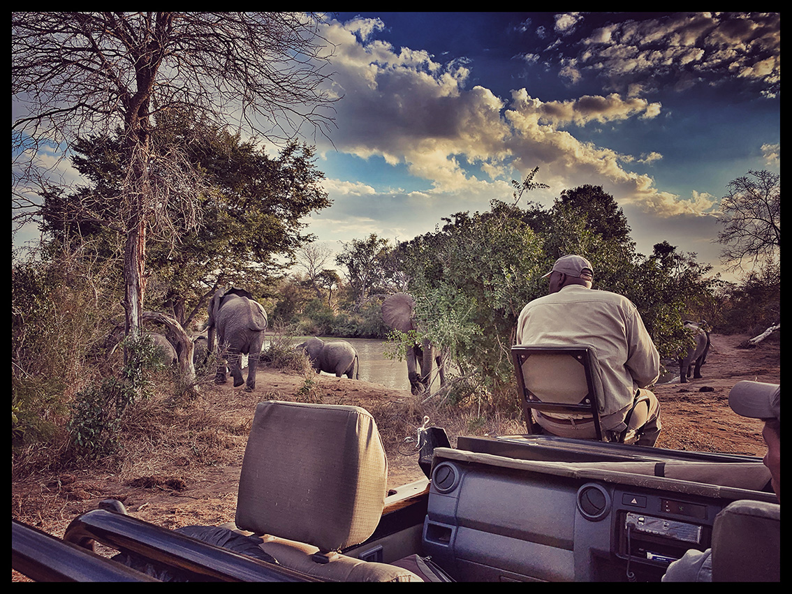 SAFARI SOUTH AFRICA