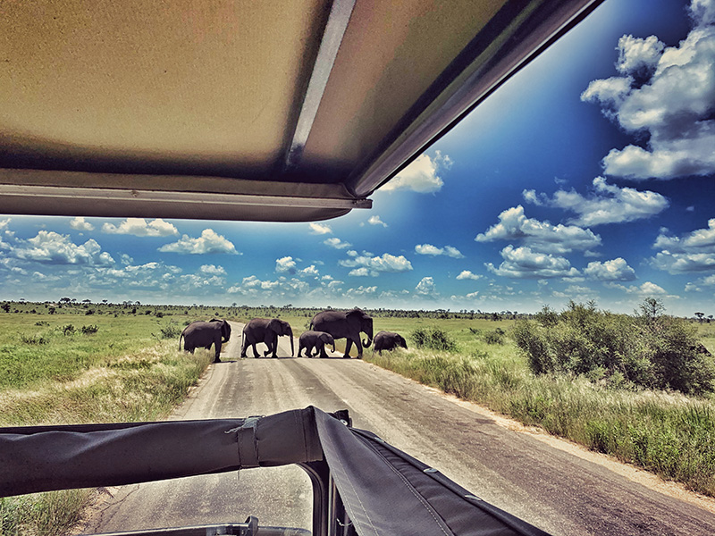 KRUGER PARK