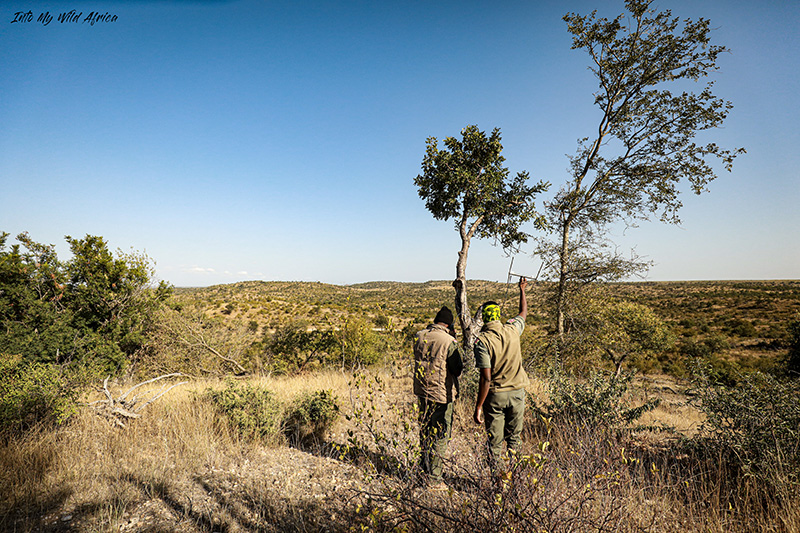 TRACKING ELEPHANT CONSERVATION